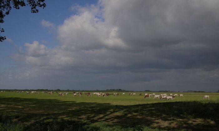 Mer-basis als vliegwiel voor samenhangend omgevingsbeleid